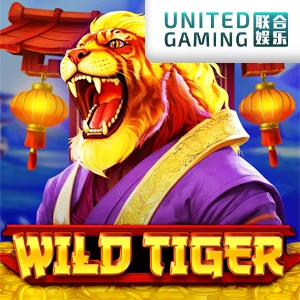 Wild Tiger image